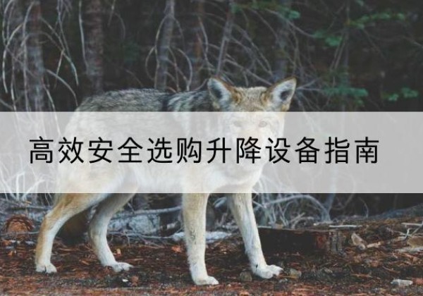 湘西升降货梯厂家推荐-*安全选购升降设备指南