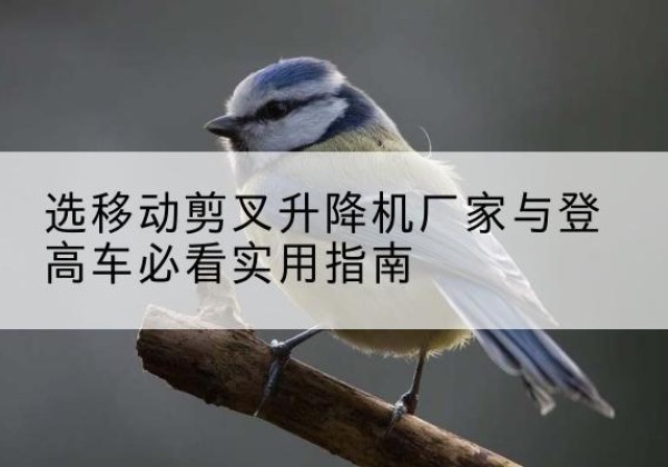 湘西电动升降机厂家-选移动剪叉升降机厂家与登高车必看实用指南